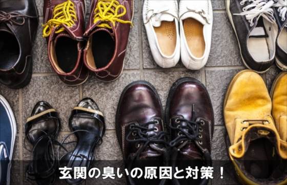 玄関が臭い原因はコレ！臭い取り対策とおすすめの予防方法！ 楽しい生活日和