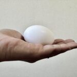 卵の新鮮な見分け方のポイントは？長持ちさせる保存方法は？