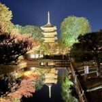 東寺(京都)の2024年のライトアップはいつまで？予約や見所は？