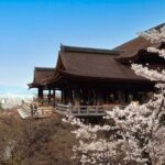 清水寺の桜2025の見頃は？ライトアップや混雑回避のコツやアクセスは？