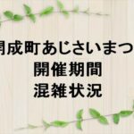 開成町あじさいまつり2025の期間や混雑状況は？屋台やアクセスは？