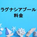 ラグナシアプール2025の料金や期間は？休憩場所やナイトプールは？