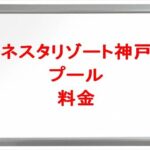 ネスタリゾート神戸プールの料金や期間は？休憩場所やナイトプールは？