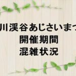 秋川渓谷あじさいまつり2025の期間や混雑状況は？屋台やアクセスは？