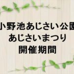 小野池あじさい公園あじさいまつり2025の期間や混雑は？屋台やアクセスは？