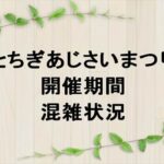 とちぎあじさいまつり2025の期間や混雑状況は？屋台やアクセスは？