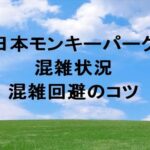 日本モンキーパーク2025の混雑状況や回避のコツは？リアルタイム確認は？