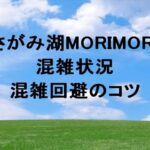 さがみ湖MORIMORI2025の混雑状況や回避のコツは？アクセスは？