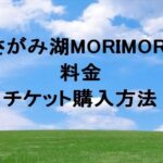さがみ湖MORIMORI2025の料金やチケットの買い方は？割引は？