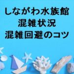 しながわ水族館2025の混雑状況や回避のコツは？アクセス方法は？