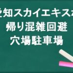 愛知スカイエキスポの帰りの混雑回避のコツは？穴場の駐車場は？