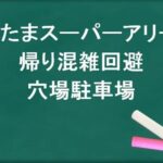 さいたまスーパーアリーナの帰りの混雑回避のコツは？穴場の駐車場は？