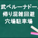 西武ベルーナドームの帰りの混雑回避のコツは？穴場の駐車場は？