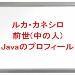 ルカカネシロの前世(中の人)はJavaの理由は？プロフィールやSNSや彼女は？