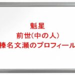 魁星の前世(中の人)は榛名文瀬の理由は?プロフィールや彼女やSNSは?