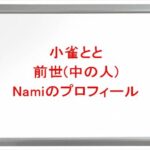 小雀ととの前世(中の人)はNamiの理由は？プロフィールや彼氏やSNSは？