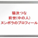 猫汰つなの前世(中の人)はヌンボラ(ひびん)の理由は？プロフィールや彼氏やSNSは？
