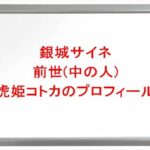 銀城サイネの前世(中の人)は虎姫コトカ(ゆり)の理由は?プロフィールや彼氏やSNSは?