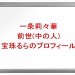 一条莉々華の前世(中の人)は宝珠るらの理由は?プロフィールや彼氏やSNSは?