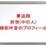 夢追翔の前世は綾前叶音の理由は？中の人(綾間テルヨシ)のプロフィールや結婚やSNSは？