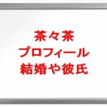 茶々茶(ゲーム実況YouTuber)は何者で素顔は?年齢や本名やプロフィールは?結婚や彼氏やSNSは?