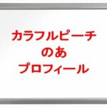 カラフルピーチ(ゲーム実況YouTuber)ののあの素顔は？年齢や本名やプロフィールは？結婚や彼氏やSNSは？