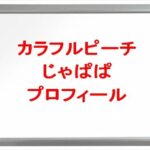 カラフルピーチ(ゲーム実況YouTuber)のじゃぱぱの素顔は？年齢や本名やプロフィールは？結婚や彼女やSNSは？