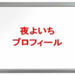 夜よいち(ゲーム実況YouTuber)は何者で素顔は？年齢や本名やプロフィールは？結婚や彼氏やSNSは？