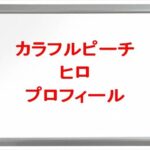 カラフルピーチ(ゲーム実況YouTuber)のヒロの素顔は？年齢や本名やプロフィールは？結婚や彼女やSNSは？