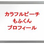 カラフルピーチ(ゲーム実況YouTuber)のもふくんの素顔は？年齢や本名やプロフィールは？結婚や彼女やSNSは？