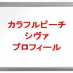 カラフルピーチ(ゲーム実況YouTuber)のシヴァの素顔は?年齢や本名やプロフィールは?結婚や彼女やSNSは?