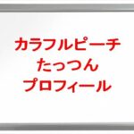 カラフルピーチ(ゲーム実況YouTuber)のたっつんの素顔は？年齢や本名やプロフィールは？結婚や彼女やSNSは？
