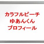 カラフルピーチ(ゲーム実況YouTuber)のゆあんくんの素顔は？年齢や本名やプロフィールは？結婚や彼女やSNSは？