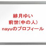 緋月ゆいの前世はnayu(ななおん)の理由は?中の人の顔バレや年齢や本名やプロフィールは?結婚や彼氏やSNSは?