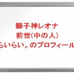 獅子神レオナの前世はらいらいの理由は？中の人の顔バレや年齢や本名やプロフィールは？結婚や彼氏やSNSは？