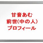 甘音あむの前世は韓国人の誰で国籍は?中の人の顔バレや年齢や本名やプロフィールは?結婚や彼氏やSNSは?