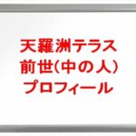 天羅洲テラスの前世は誰？中の人の顔バレや年齢や本名やプロフィールは？結婚や彼氏やSNSは？
