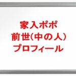 家入ポポの前世は誰？中の人の顔バレや年齢や本名やプロフィールは？結婚や彼氏やSNSは？