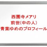 西園寺メアリの前世は青葉ゆめの理由は？中の人の顔バレや年齢や本名やプロフィールは？結婚や彼氏やSNSは？