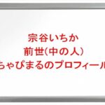 宗谷いちかの前世はちゃぴまるの理由は？中の人の顔バレや年齢やプロフィールは？結婚や彼氏やSNSは？